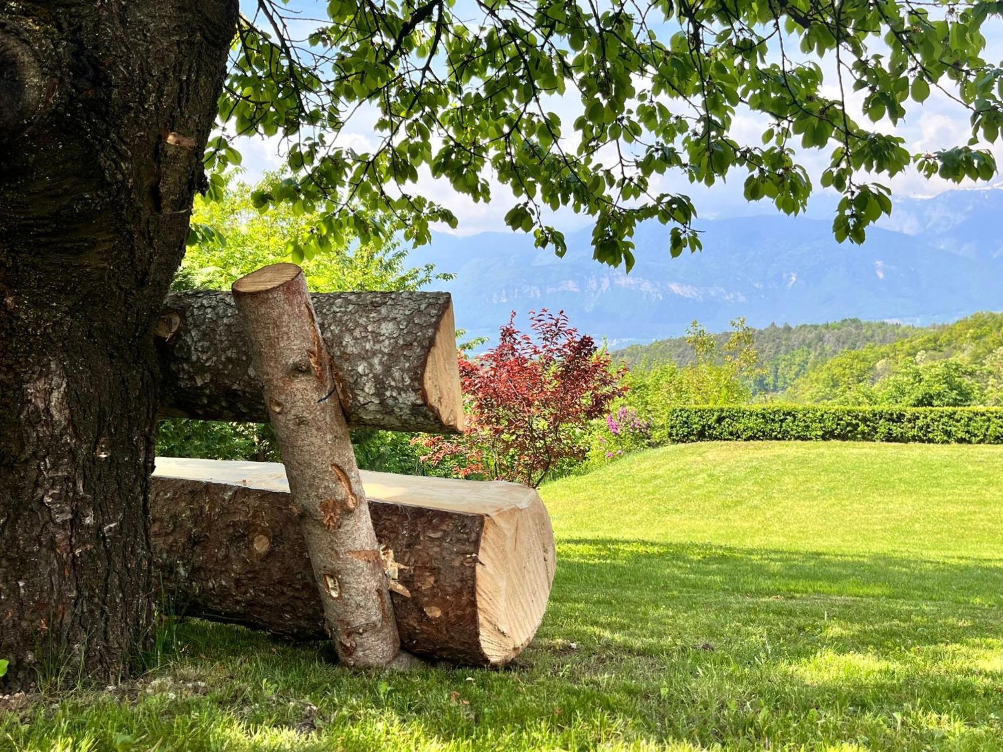 Ferienwohnung Ciasa Erica - Val Di Non Predaia Exterior foto